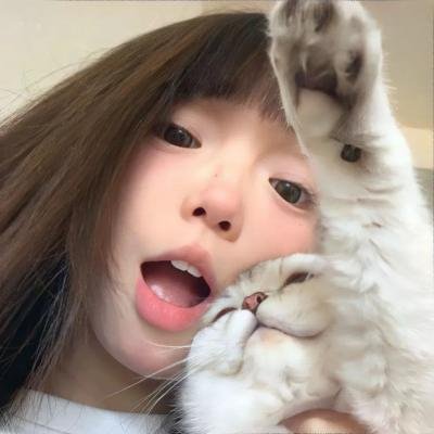 猫小姐寻真爱